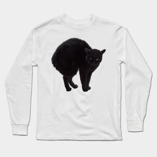 Black Cat, Witch's Familiar Long Sleeve T-Shirt